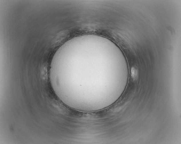 X0000115851203200911271234