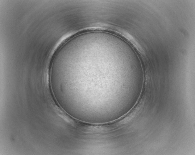X0000115851232200911271235