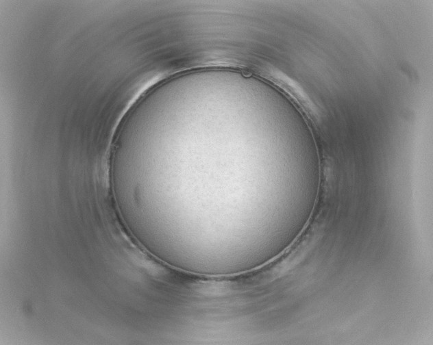 X0000115851236200911271235