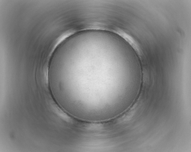 X0000115851238200911271235