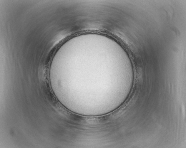 X0000115851258200911271234