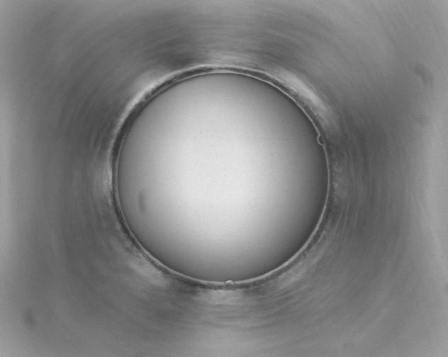 X0000115851280200911271234