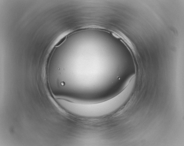 X0000115851293200911271234