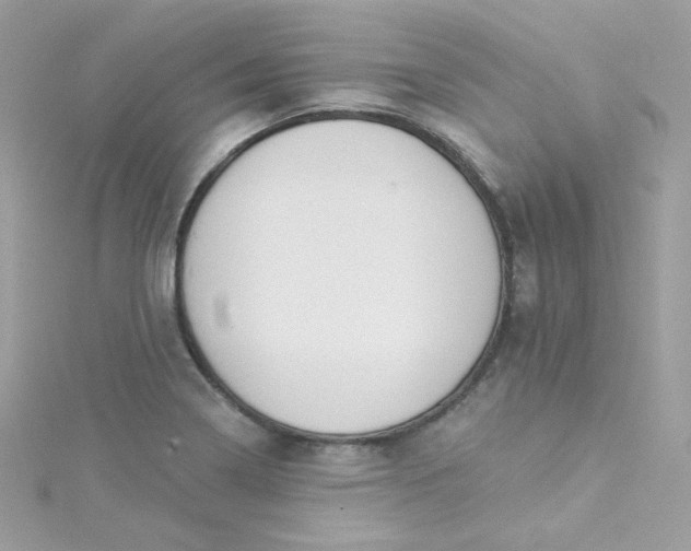 X0000115851322200911271233