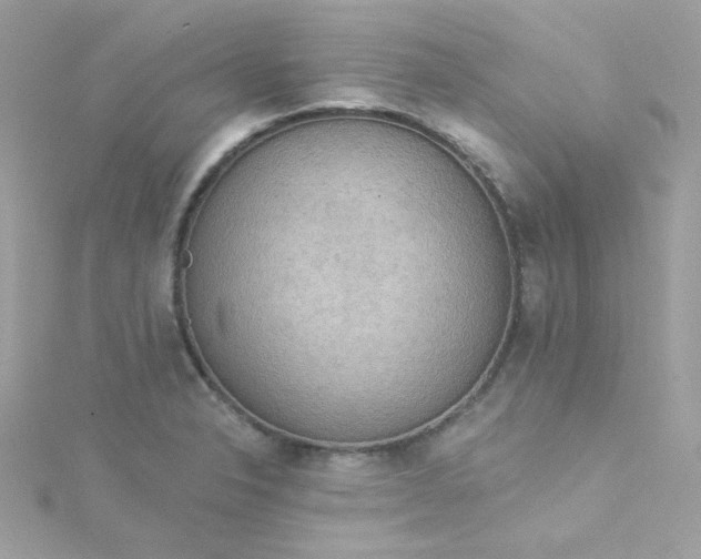 X0000115851326200911271233