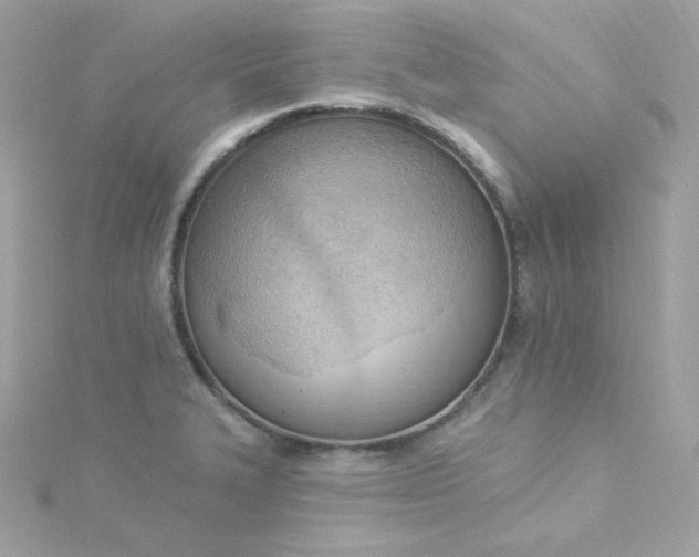 X0000115851327200911271233