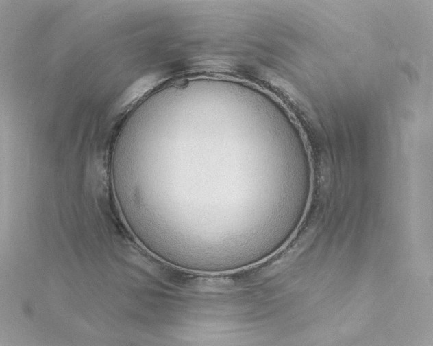 X0000115851354200911271233