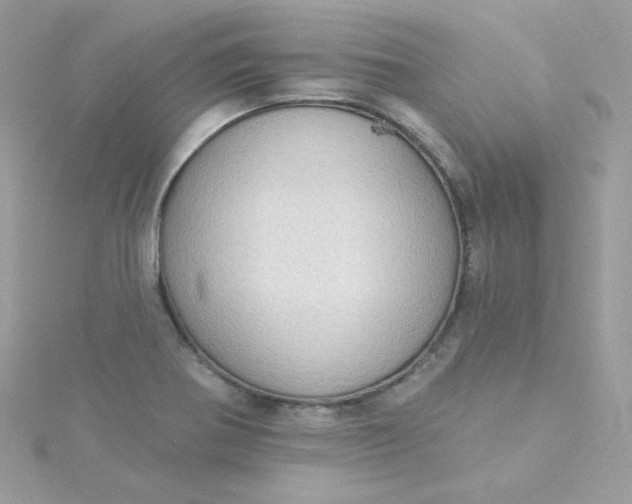 X0000115851370200911271233