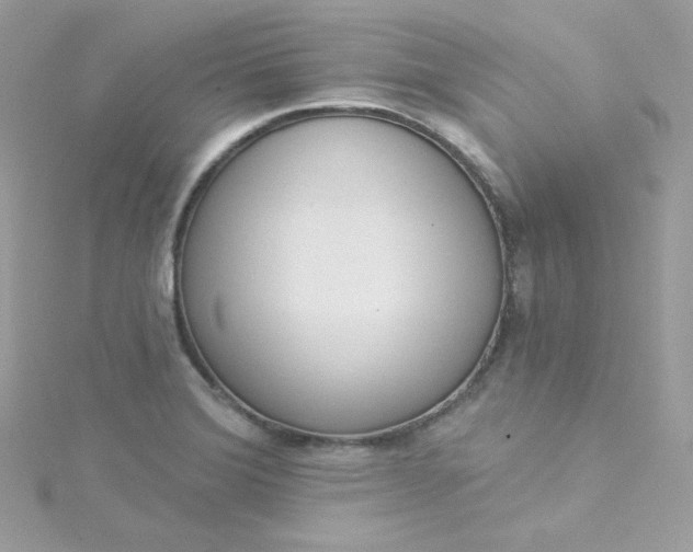 X0000115851372200911271233