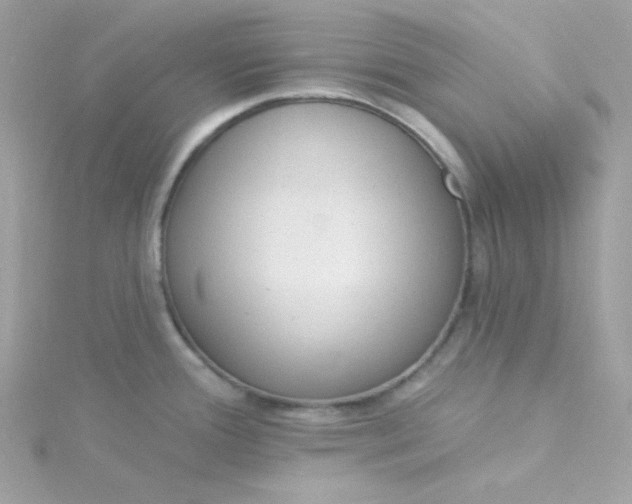 X0000115851388200911271232
