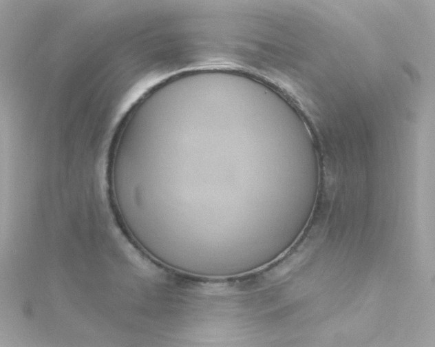 X0000115851422200911271232