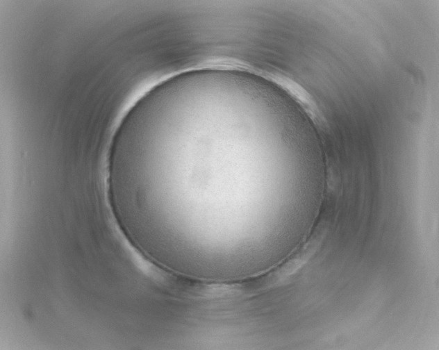 X0000115851430200911271232