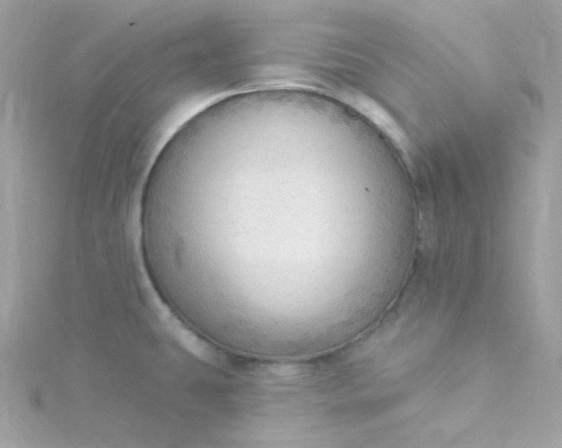 X0000115851431200911271232