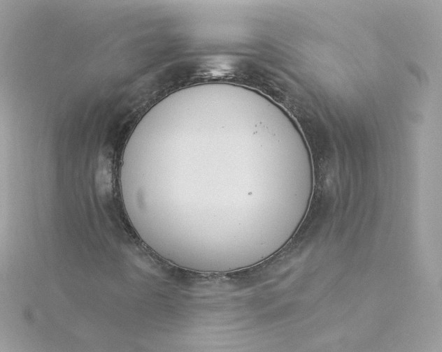 X0000115851442200911271232