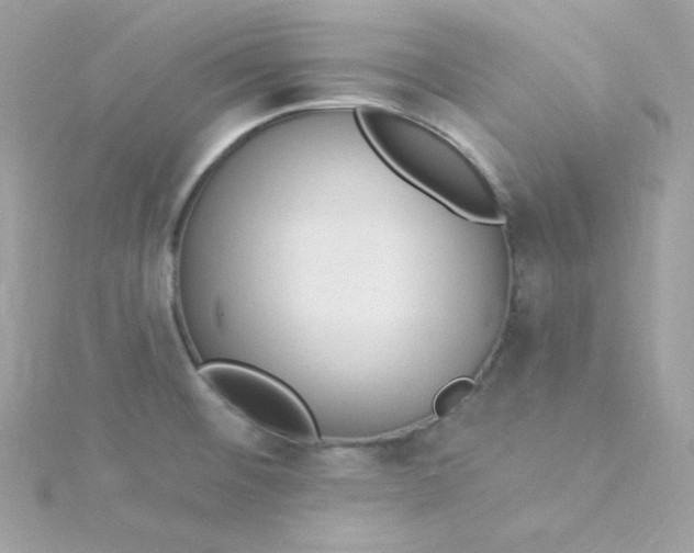 X0000115851476200911271231