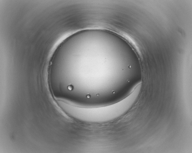 X0000115851480200911271231