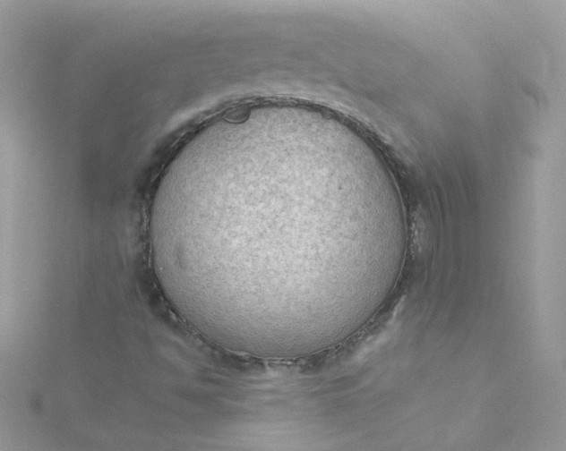 X0000115851494200911271231