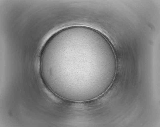 X0000115851511200911271231