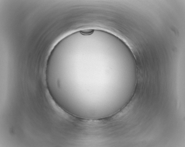 X0000115851534200911271231