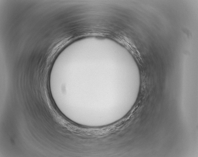 X0000115850001200912041739