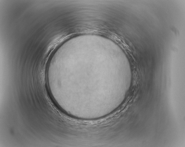 X0000115850002200912041739