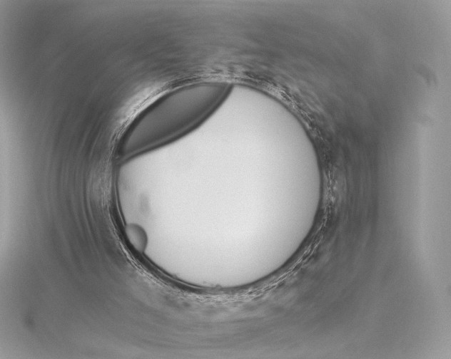 X0000115850005200912041738