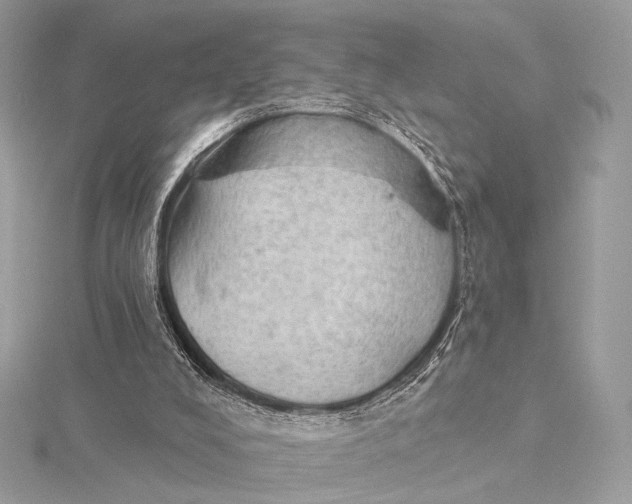 X0000115850008200912041738