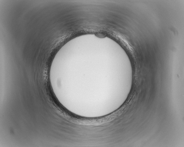 X0000115850017200912041738