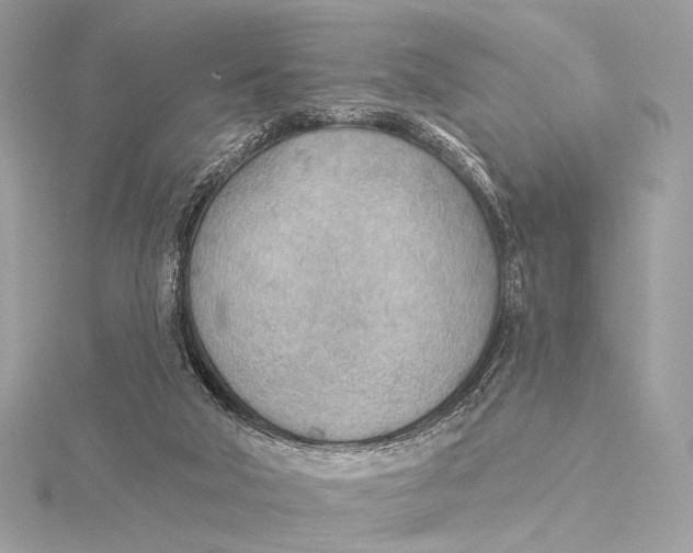 X0000115850018200912041738