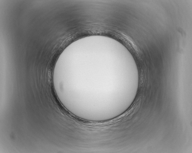 X0000115850025200912041738