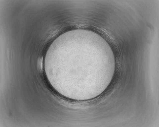 X0000115850028200912041738