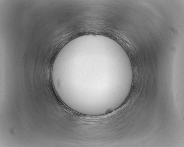 X0000115850033200912041738