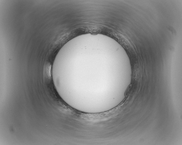 X0000115850041200912041738