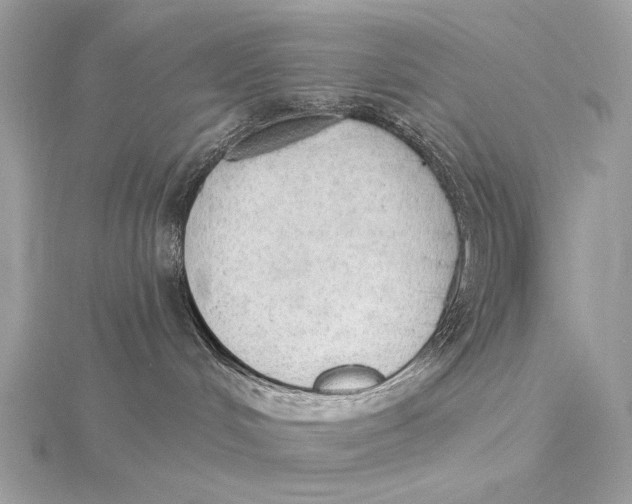 X0000115850048200912041738