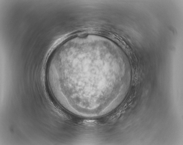 X0000115850055200912041737