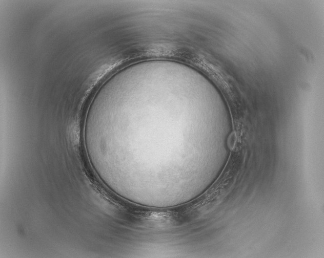 X0000115850060200912041737