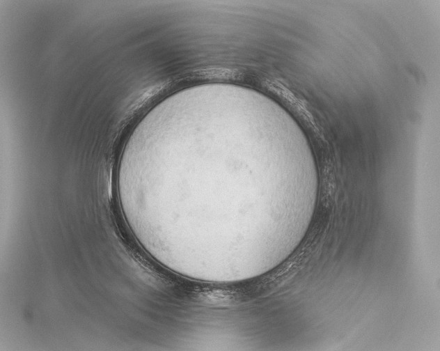 X0000115850062200912041738