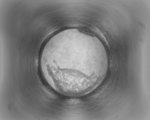 X0000115850063200912041738