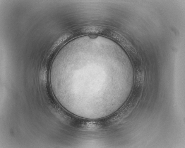 X0000115850064200912041738