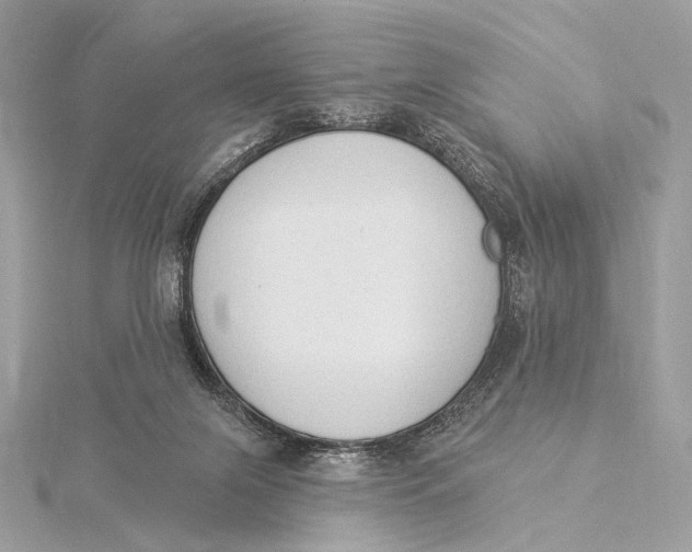 X0000115850071200912041738