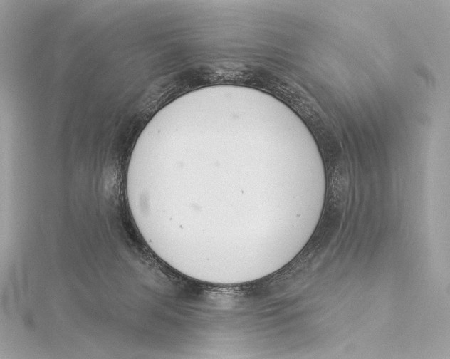 X0000115850079200912041738