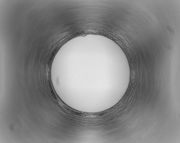 X0000115850081200912041738