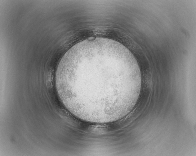 X0000115850082200912041738