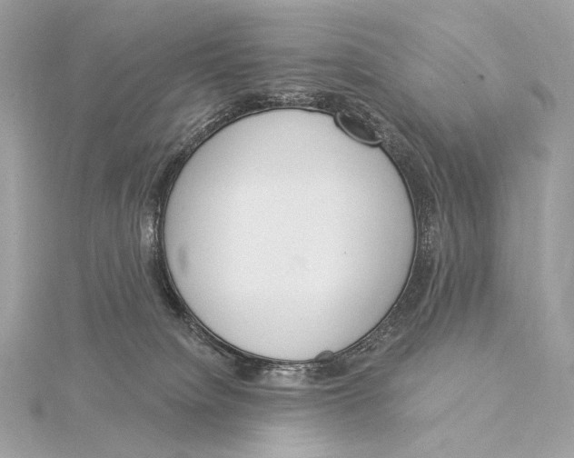X0000115850084200912041738