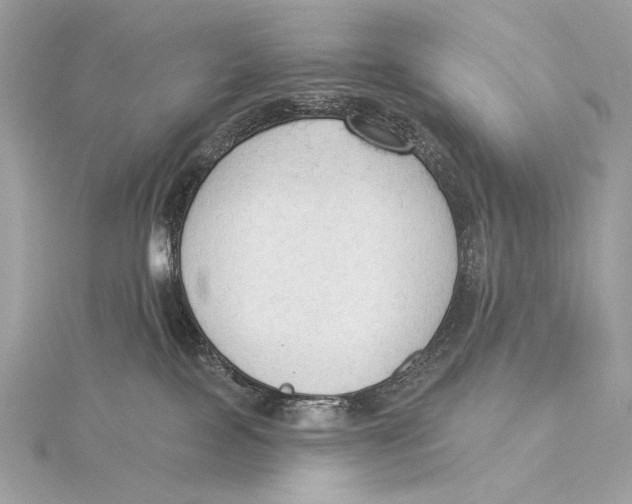 X0000115850089200912041738