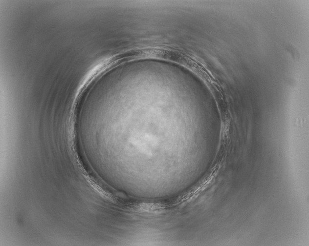 X0000115850101200912041737