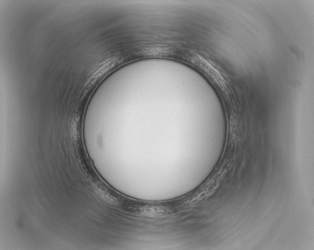 X0000115850105200912041737