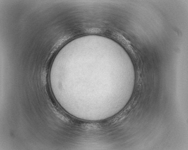 X0000115850106200912041737