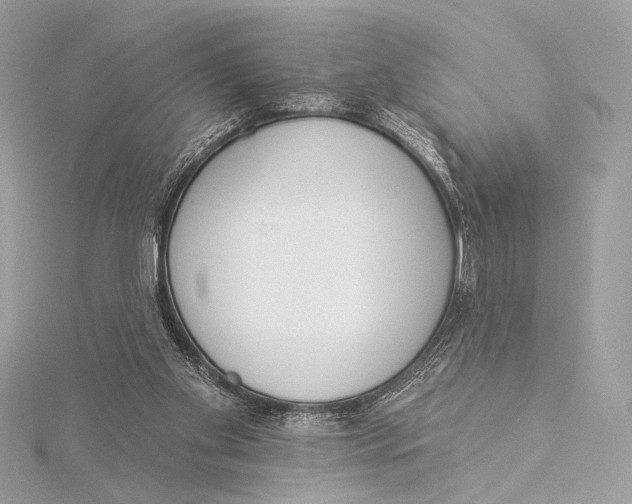 X0000115850109200912041737