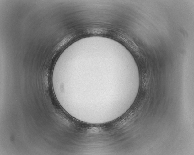 X0000115850111200912041737
